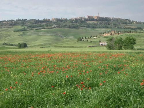 Agriturismo Il Colombaiolo Βίλα Πιέντσα Εξωτερικό φωτογραφία